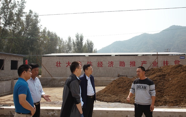 成人网站