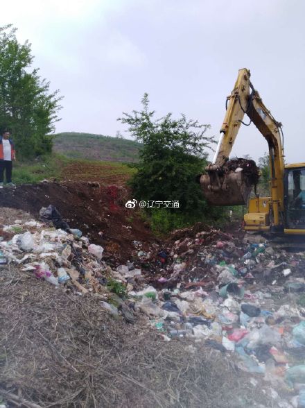 成人网站
