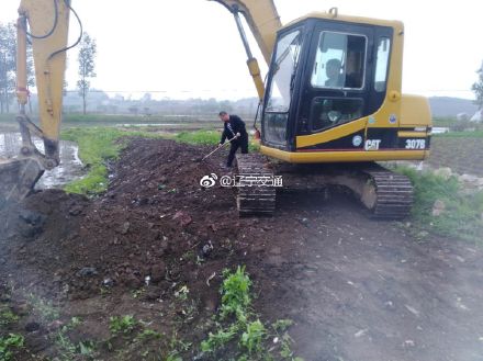 成人网站