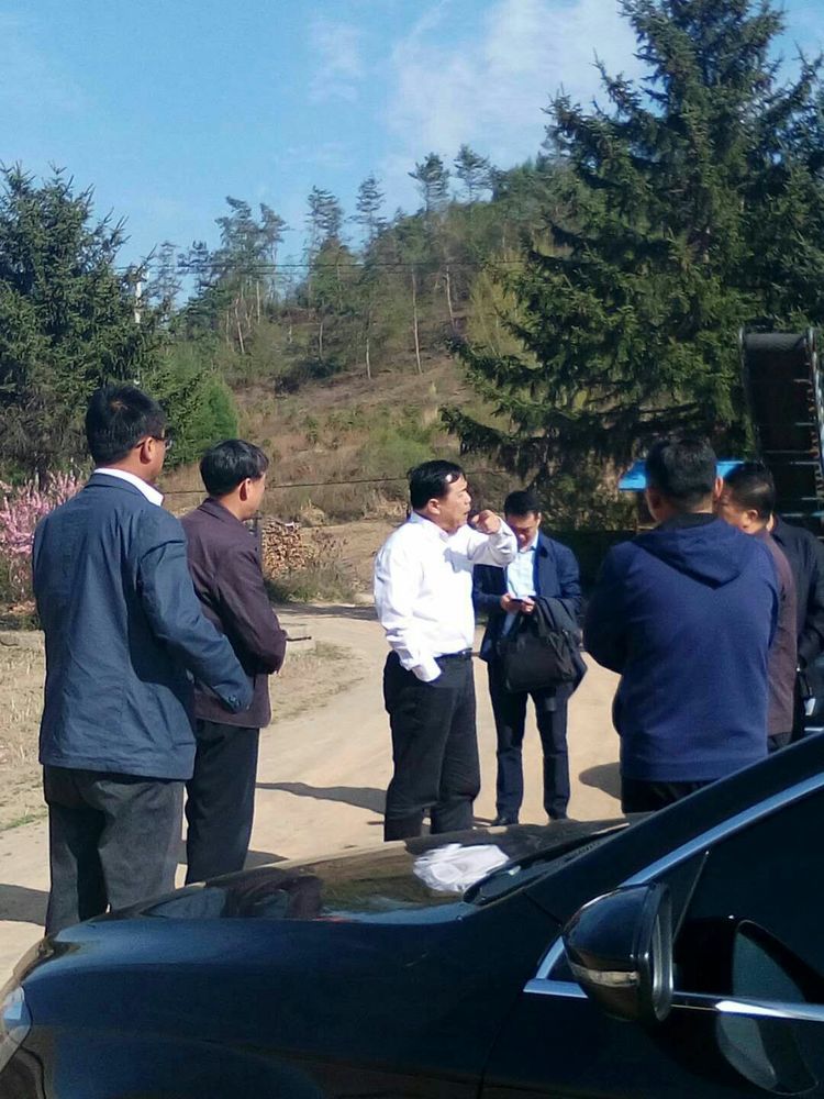 成人网站
