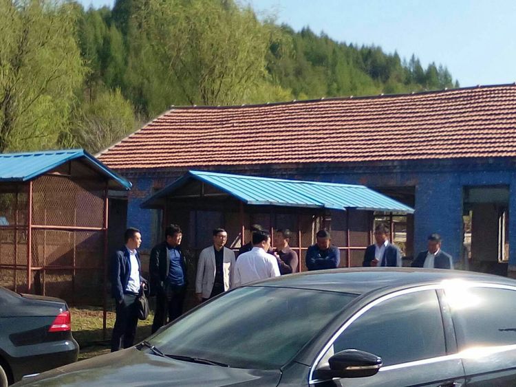 成人网站