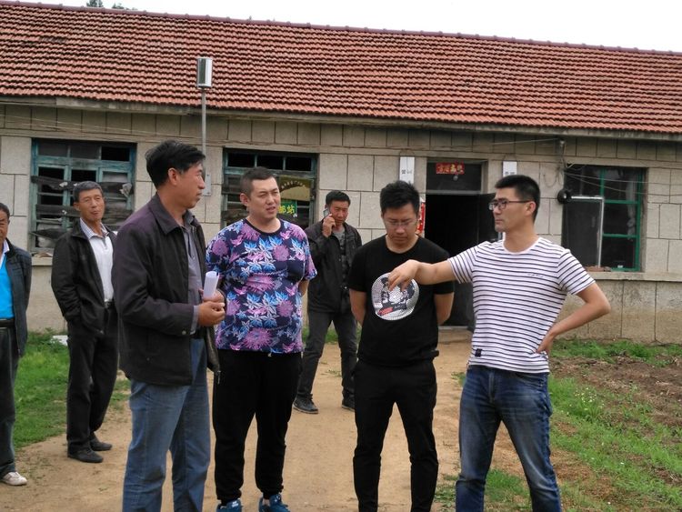 成人网站