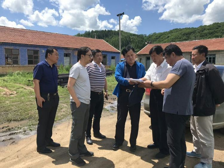 成人网站