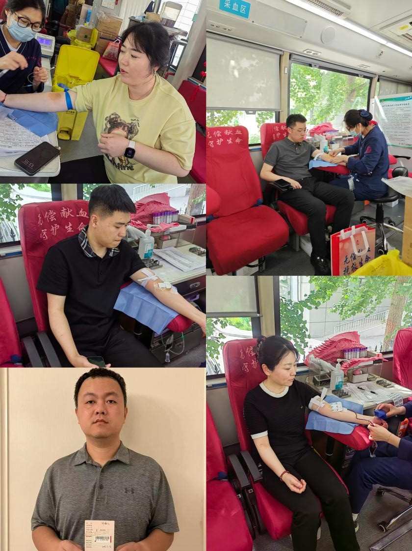 成人网站