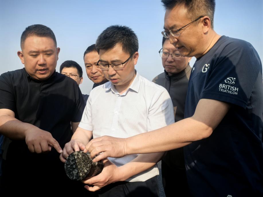 成人网站