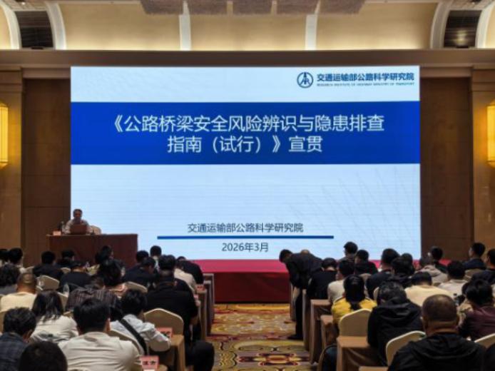 成人网站