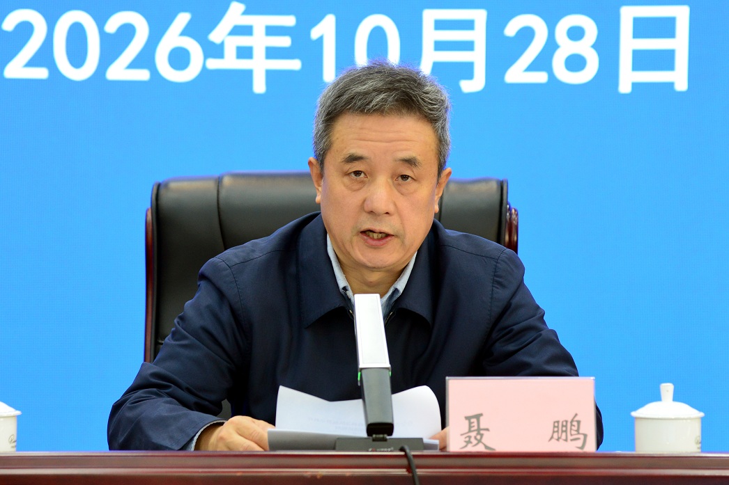 成人网站