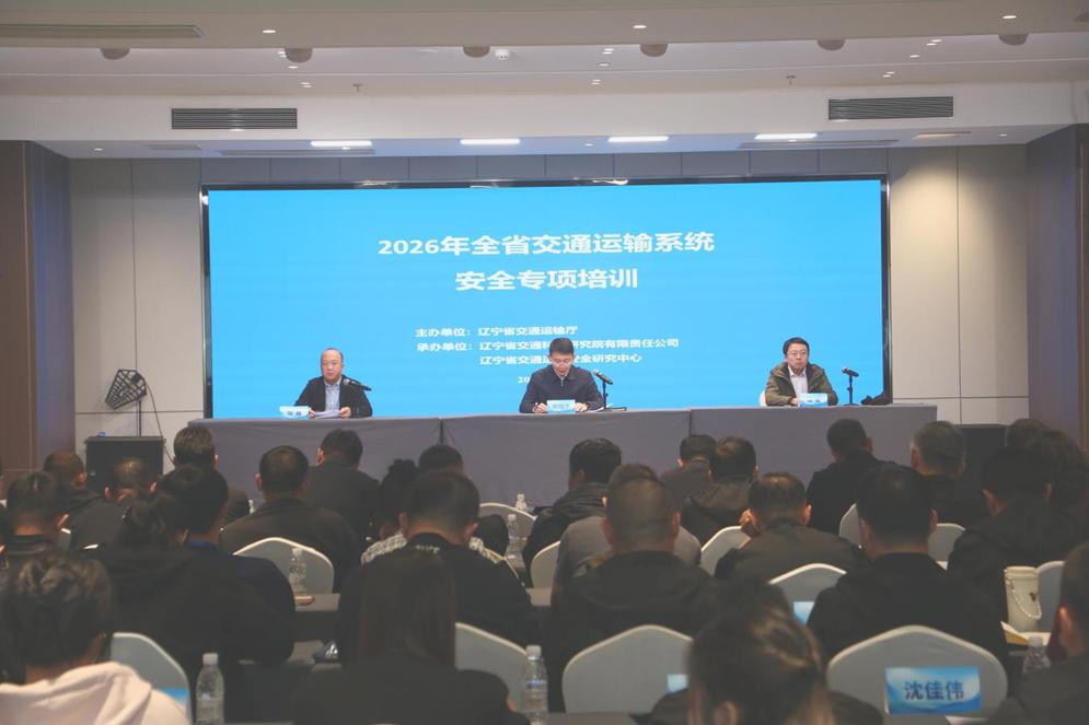 成人网站